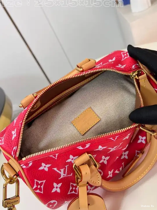 25 Vuitton Louis SPEEDY 0524